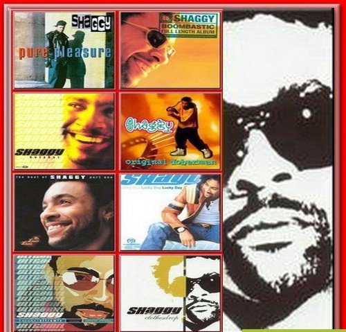 Shaggy - Discography (1993-2012) MP3