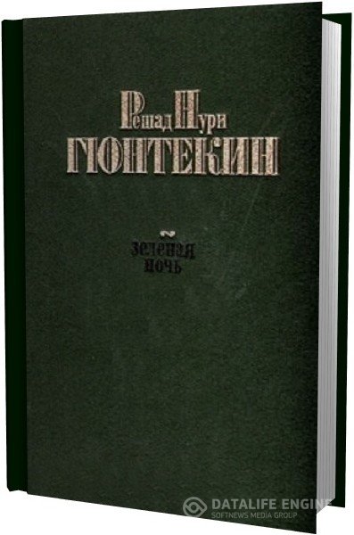 Гюнтекин Решад Нури - Зеленая ночь (Аудиокнига)