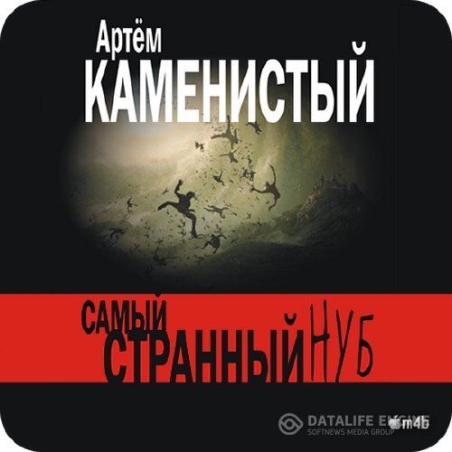 Каменистый Артем - Самый странный нуб (Аудиокнига)