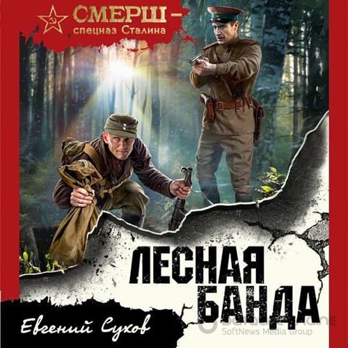 Сухов Евгений. Лесная банда (Аудиокнига)