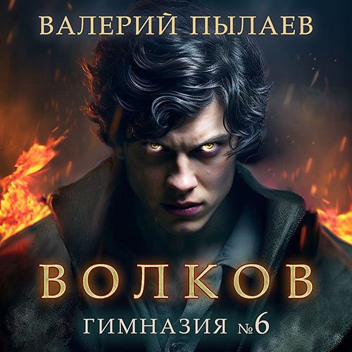 Пылаев Валерий. Гимназия № 6 (Аудиокнига)